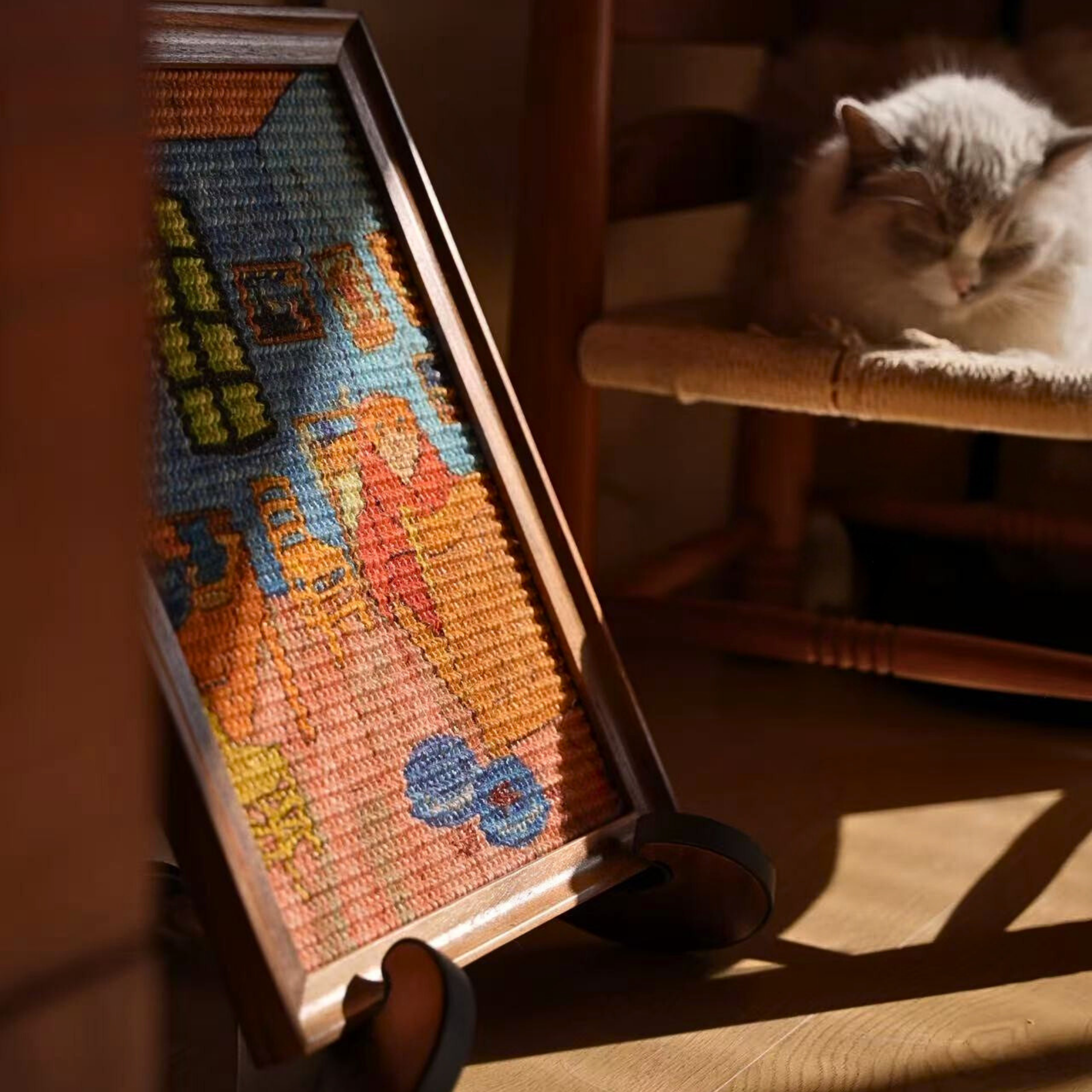 -阿爾勒房間的貓-