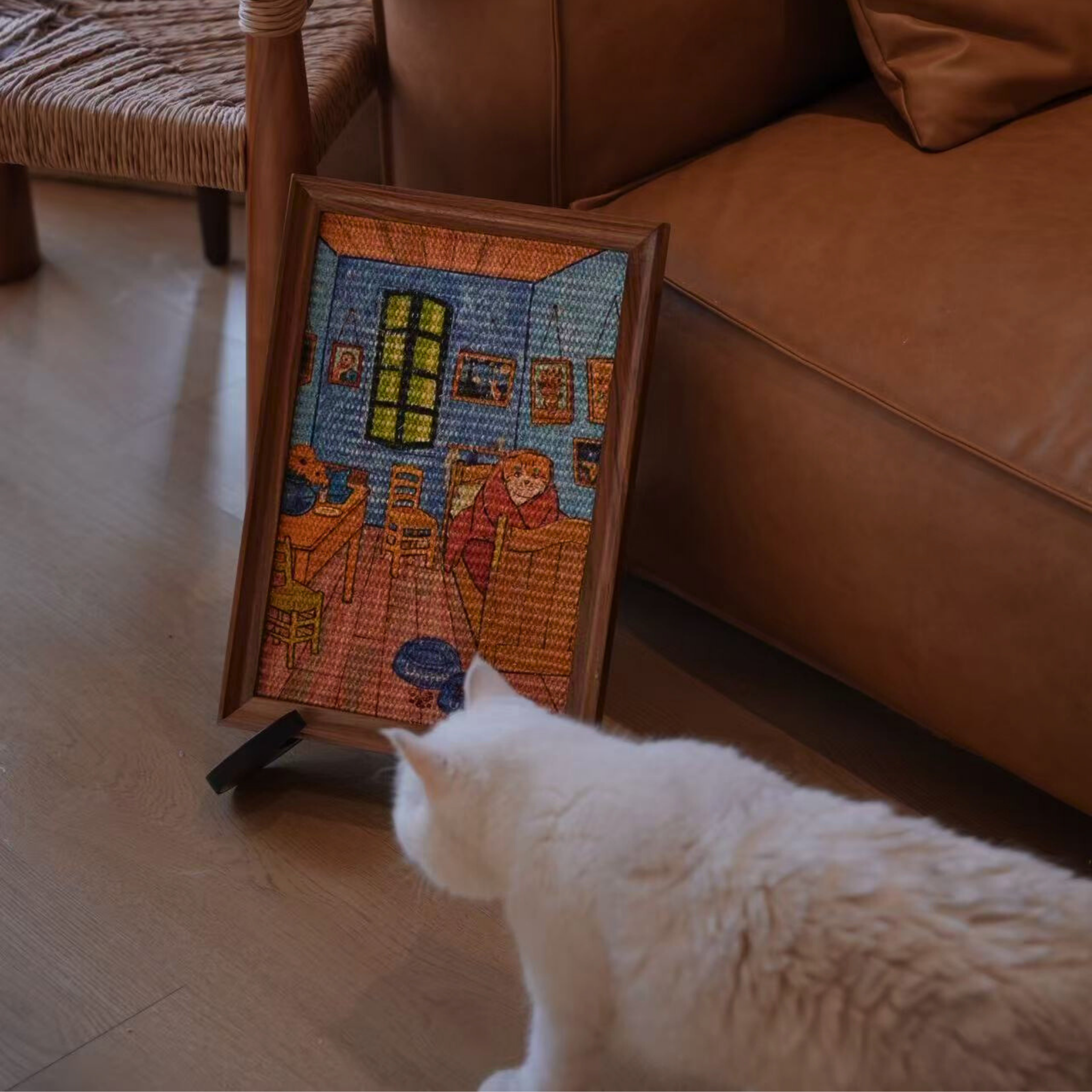 -阿爾勒房間的貓-